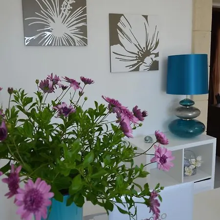 לינה וארוחת בוקר Albatros